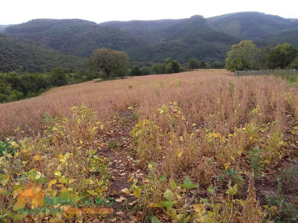 Loteamento e Condomínio, 140 hectares - Foto 2