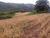 Loteamento e Condomínio, 79 hectares - Foto 4