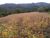 Loteamento e Condomínio, 79 hectares - Foto 2