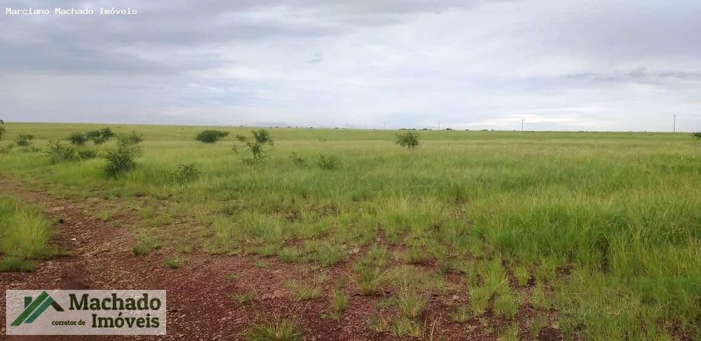 Fazenda, 420 hectares - Foto 3