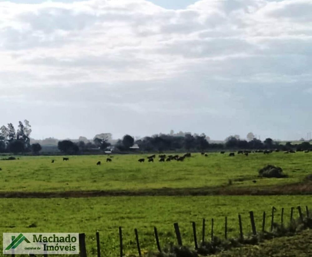 Fazenda à venda, 4400000m² - Foto 2
