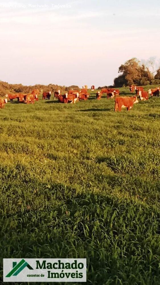 Fazenda à venda, 4400000m² - Foto 1