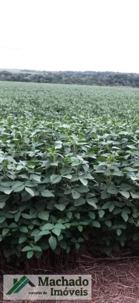 Fazenda à venda, 4400000m² - Foto 5