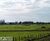 Fazenda-Sítio-Chácara, 440 hectares - Foto 2