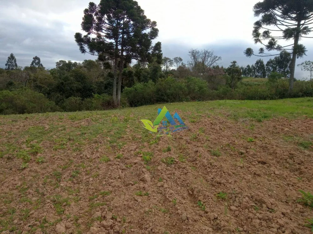 Terreno, 7200 m² - Foto 4