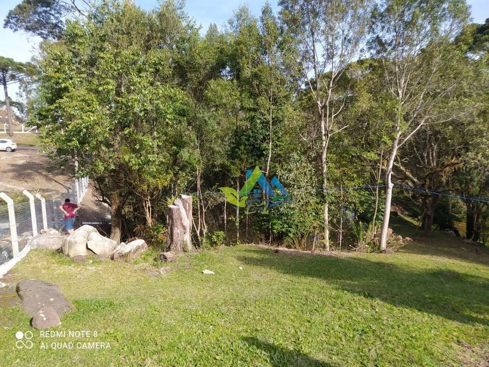 Chácara, 3 quartos, 1 hectares - Foto 4