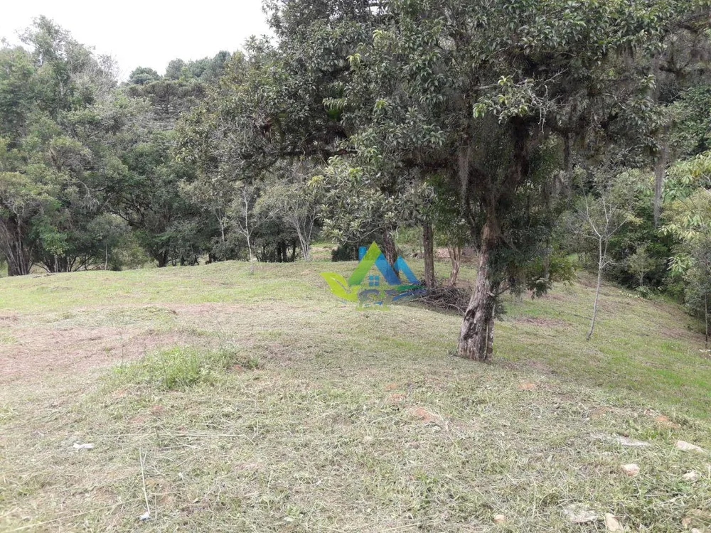 Chácara, 2 quartos, 6300 m² - Foto 4