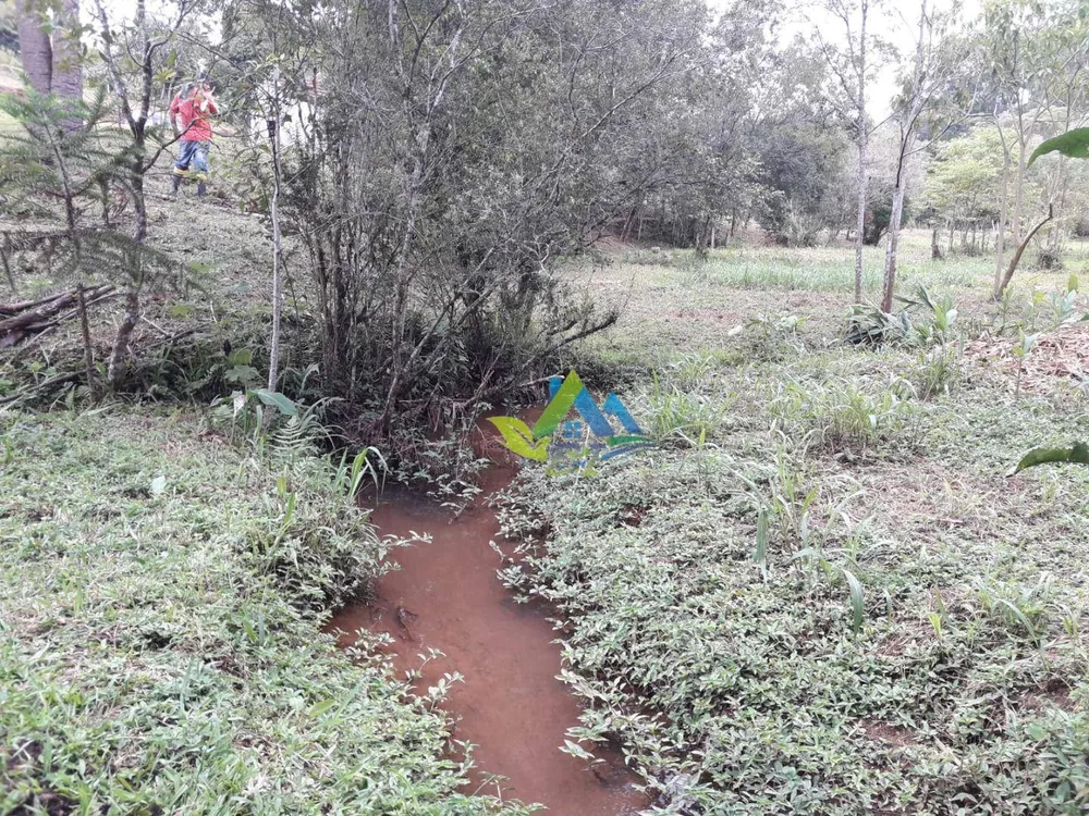 Chácara, 2 quartos, 6300 m² - Foto 3