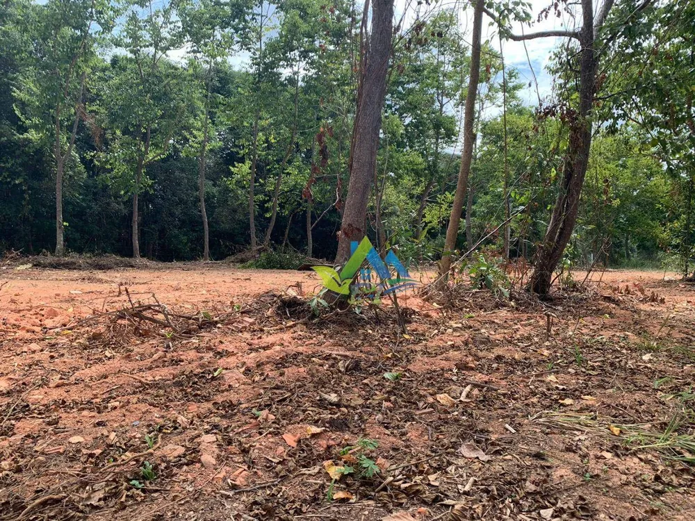 Terreno, 3000 m² - Foto 2
