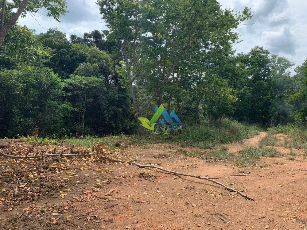 Terreno, 3000 m² - Foto 4