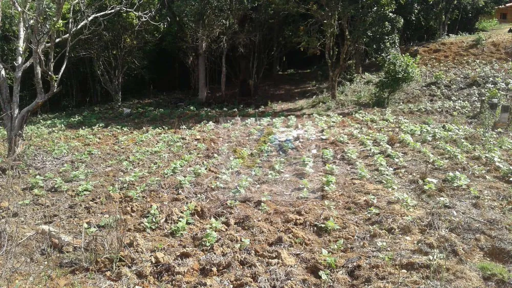 Terreno, 7200 m² - Foto 1