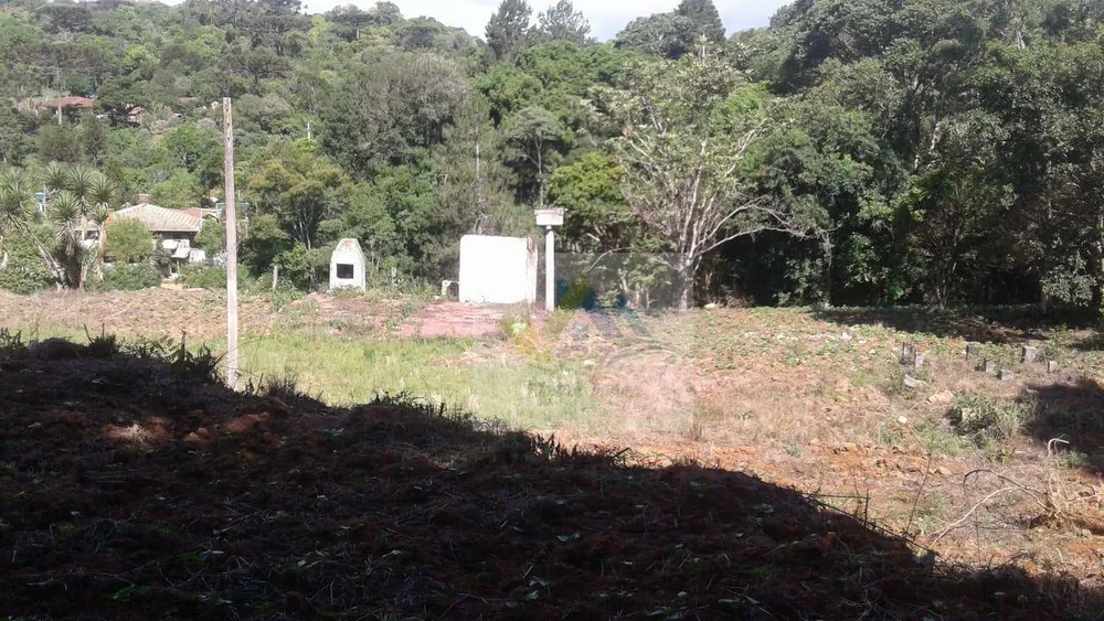 Terreno, 7200 m² - Foto 3