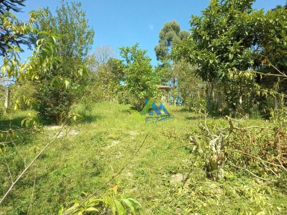 Chácara, 2 quartos, 3600 m² - Foto 3