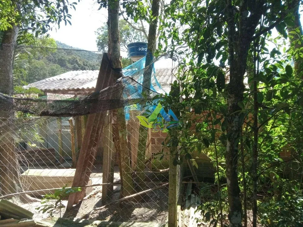 Chácara, 2 quartos, 3600 m² - Foto 2