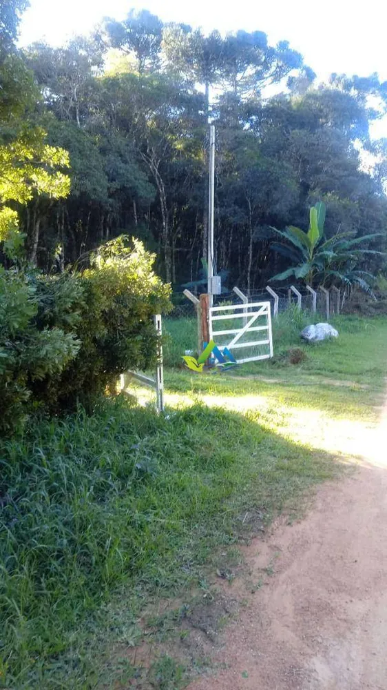 Chácara, 2 quartos, 2600 m² - Foto 3