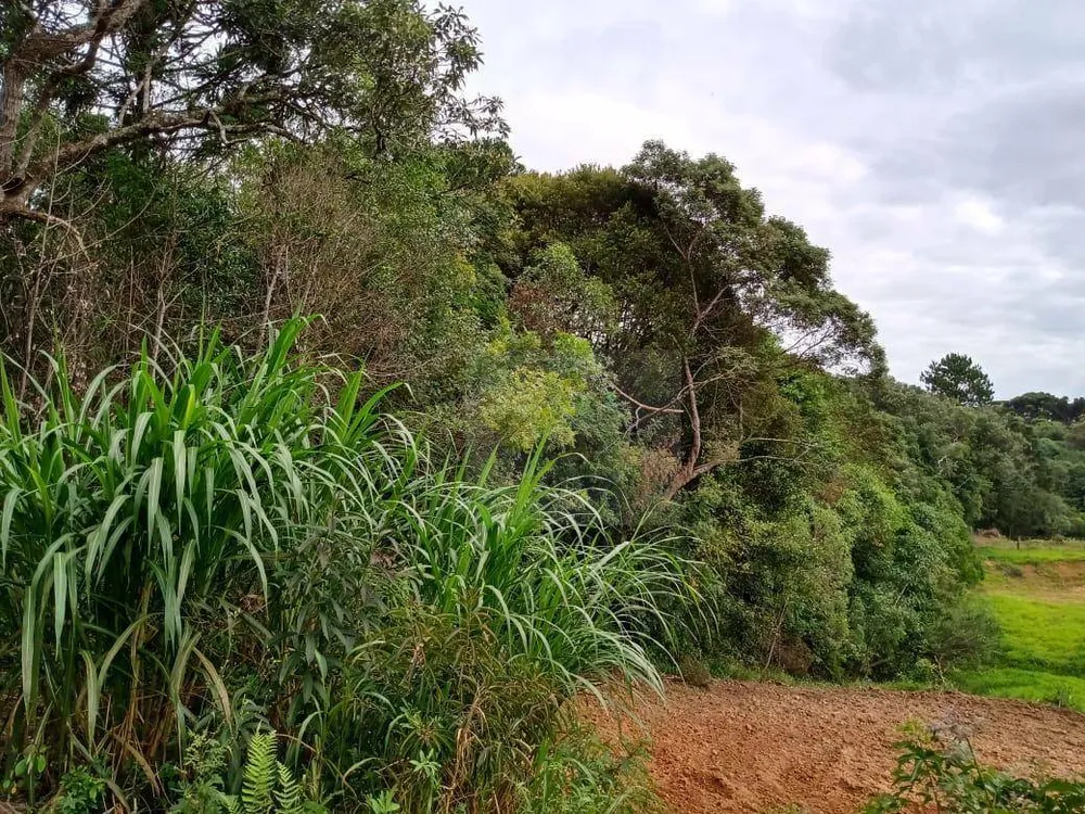 Terreno, 1 hectares - Foto 1