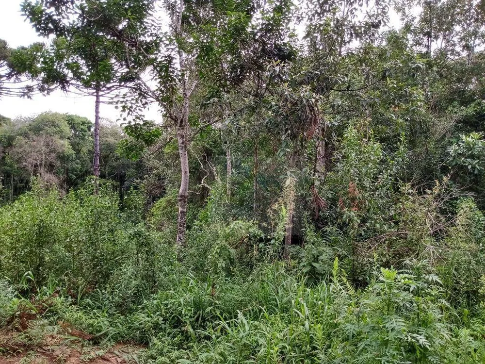 Terreno, 1 hectares - Foto 4