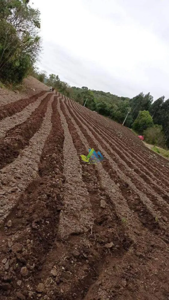 Terreno, 2 hectares - Foto 4
