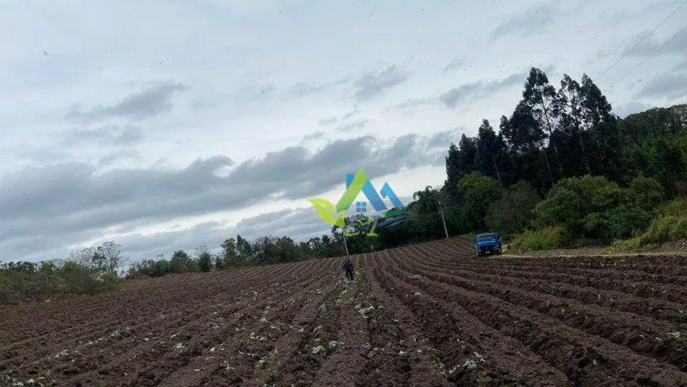 Terreno, 2 hectares - Foto 3
