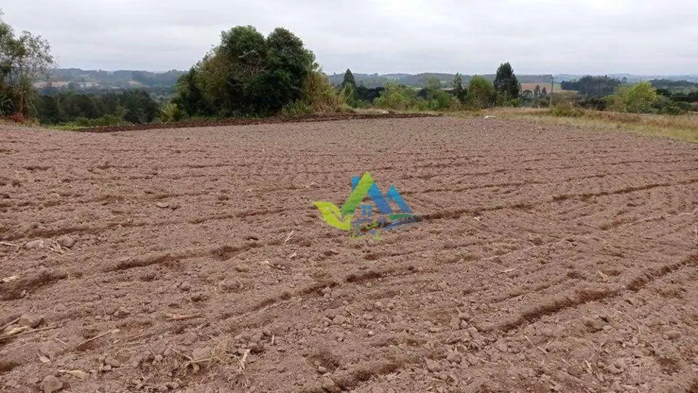 Terreno, 2 hectares - Foto 1