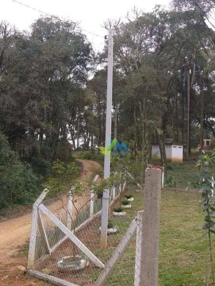 Chácara, 3 quartos, 3400 m² - Foto 4