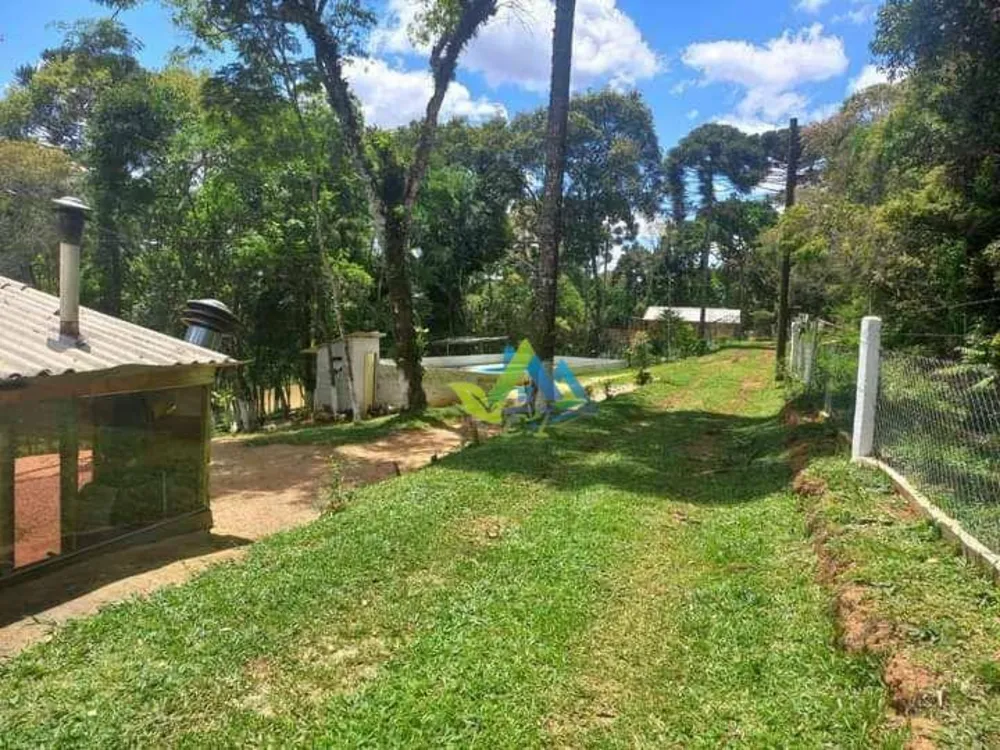 Chácara, 3 quartos, 5400 m² - Foto 1