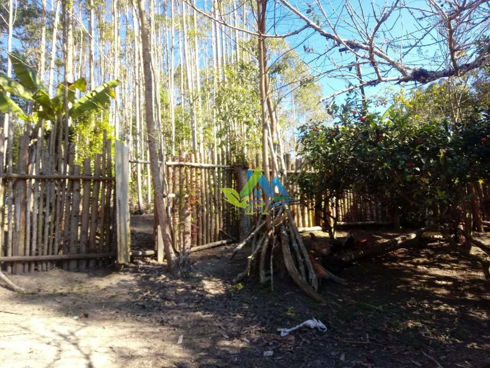 Chácara, 4 quartos, 6 hectares - Foto 3
