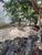 Terreno, 270 m² - Foto 5