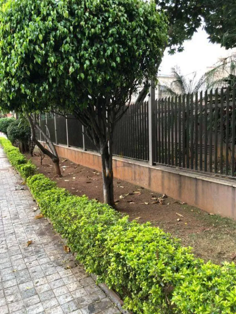 Apartamento, 5 quartos, 273 m² - Foto 4