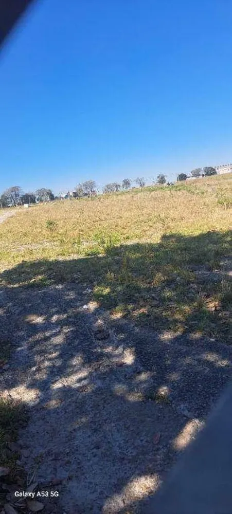 Terreno, 6 hectares - Foto 3