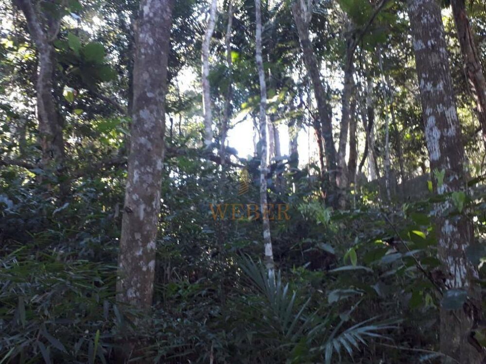 Terreno, 2000 m² - Foto 7