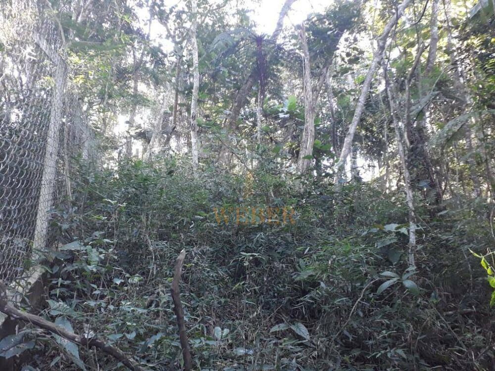 Terreno, 2000 m² - Foto 5