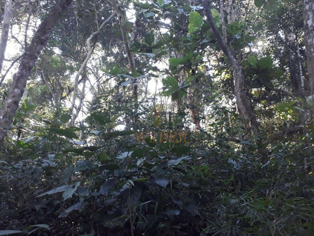 Terreno, 2000 m² - Foto 6