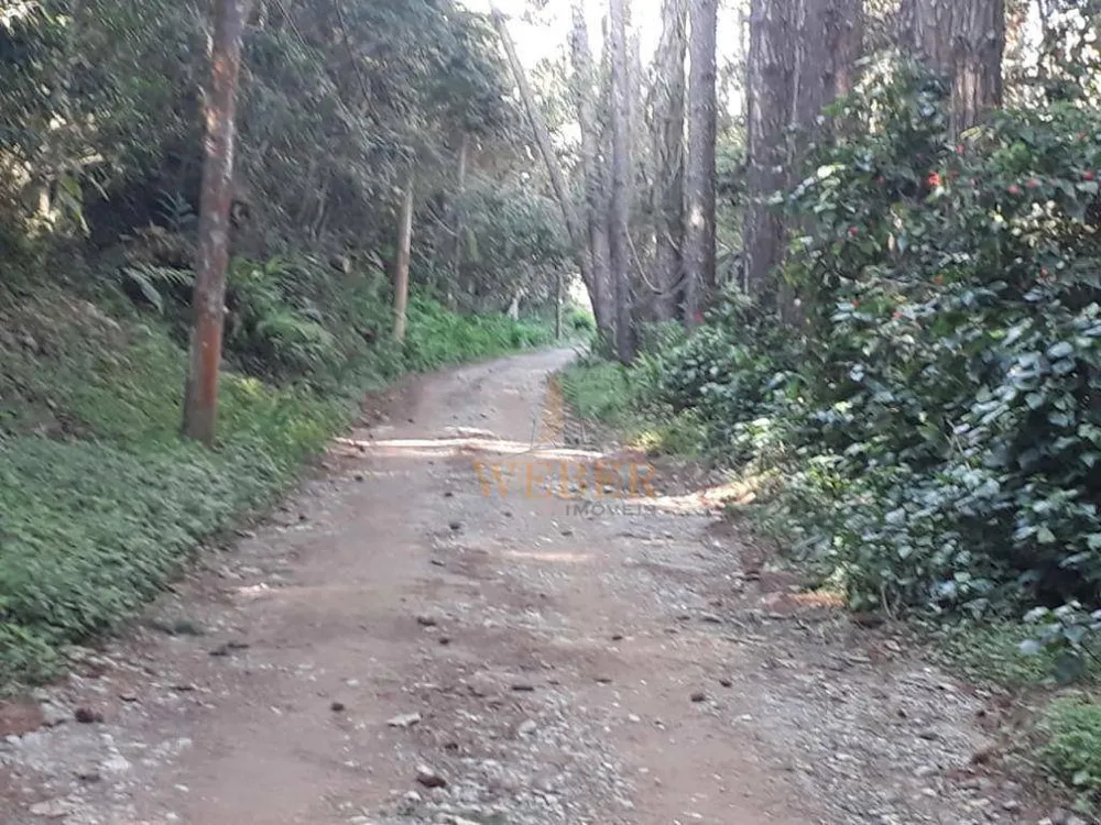 Terreno, 2000 m² - Foto 6