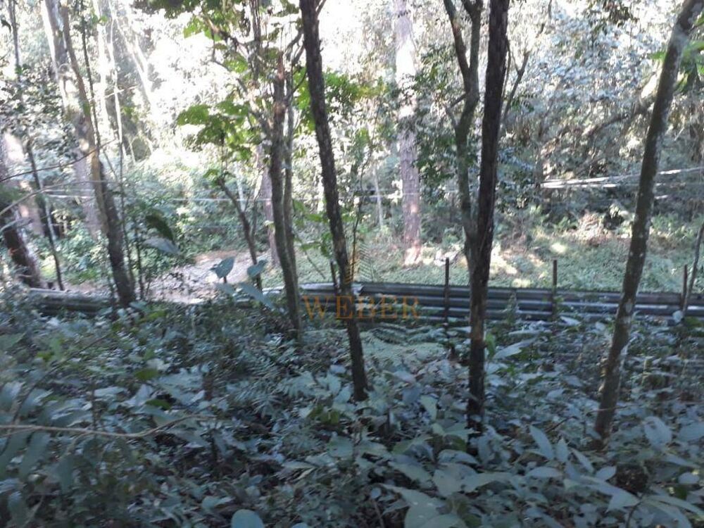 Terreno, 2000 m² - Foto 8