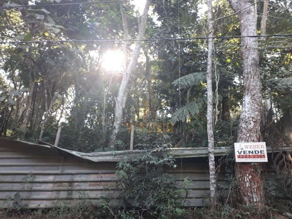 Terreno, 2000 m² - Foto 4