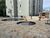 Apartamento, 3 quartos, 65 m² - Foto 1