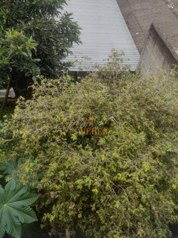 Casa, 2 quartos, 88 m² - Foto 10