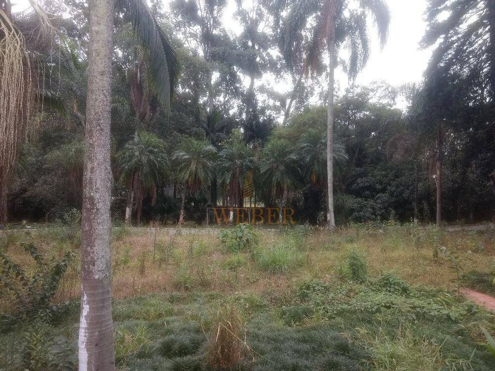 Terreno, 1 hectares - Foto 7