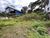 Terreno, 1320 m² - Foto 4