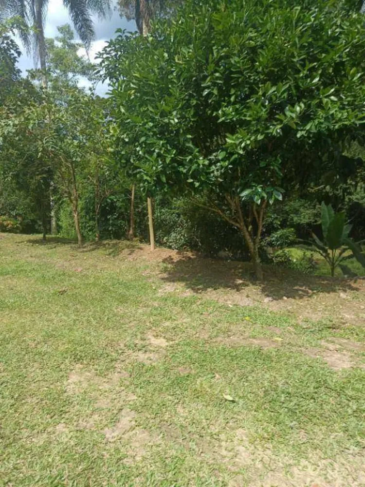 Chácara, 3 quartos, 5000 m² - Foto 8