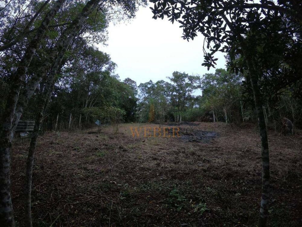 Terreno, 1286 m² - Foto 3