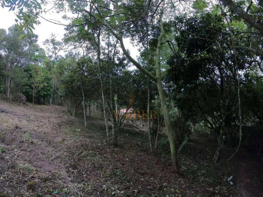 Terreno, 1286 m² - Foto 4