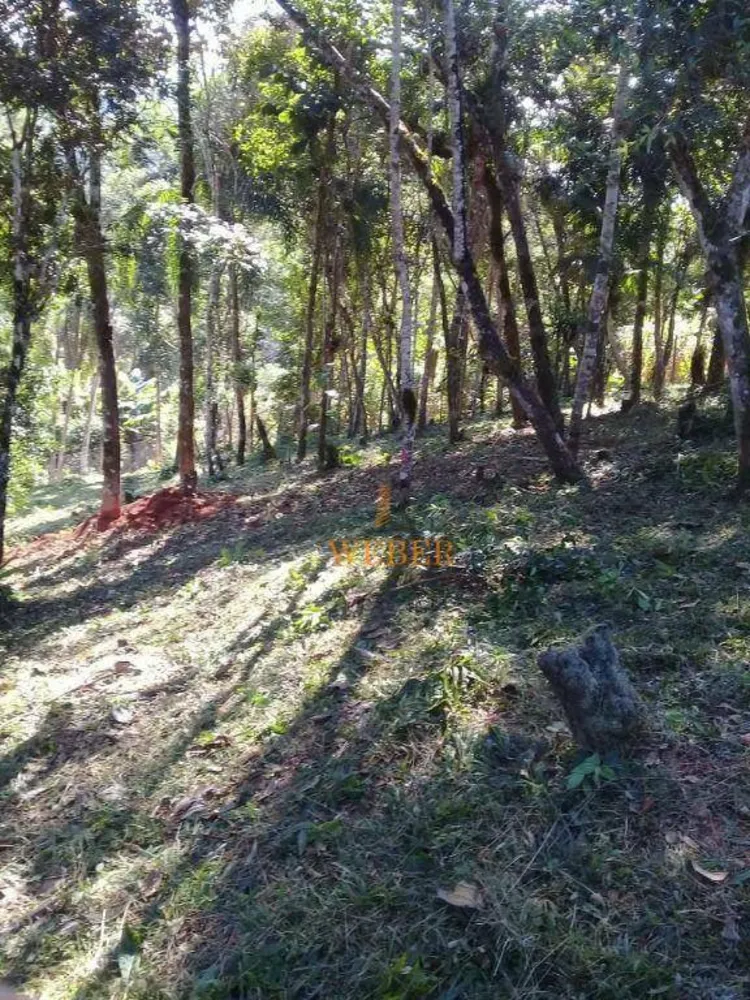 Terreno, 3000 m² - Foto 8