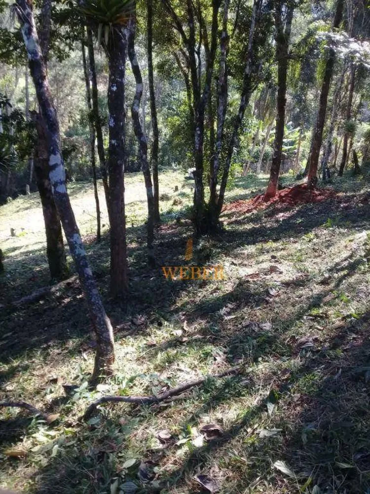 Terreno, 3000 m² - Foto 7