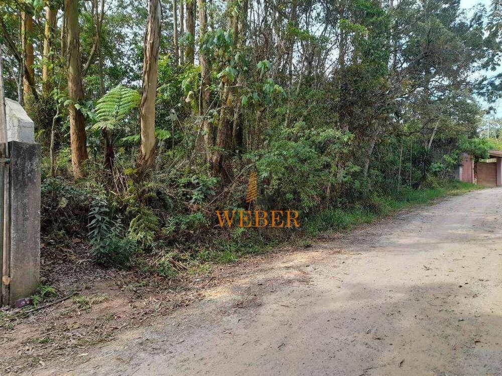 Terreno, 1550 m² - Foto 6