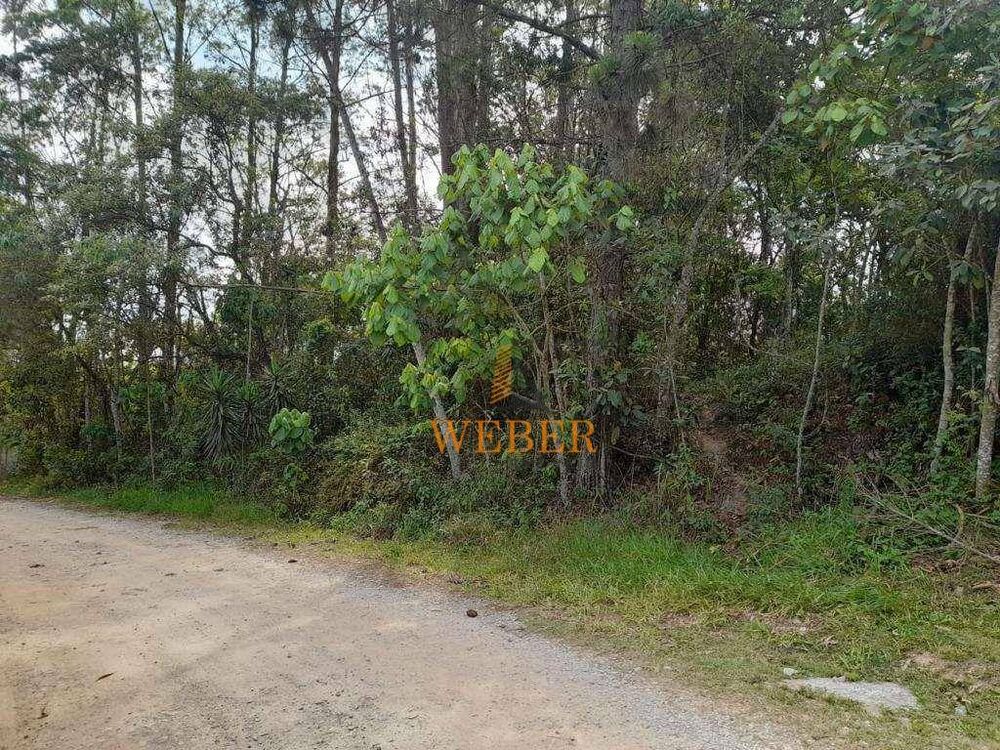 Terreno, 1550 m² - Foto 7