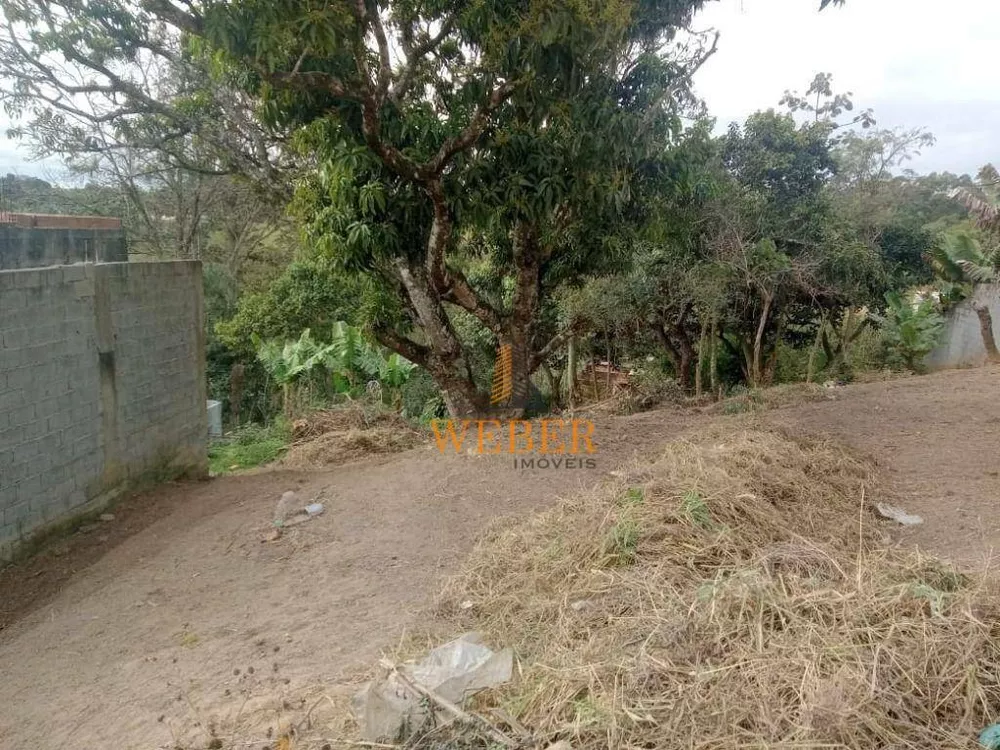 Terreno, 498 m² - Foto 3