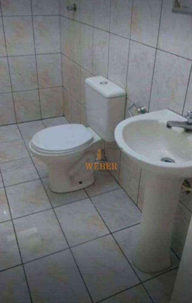 Casa, 4 quartos, 250 m² - Foto 6