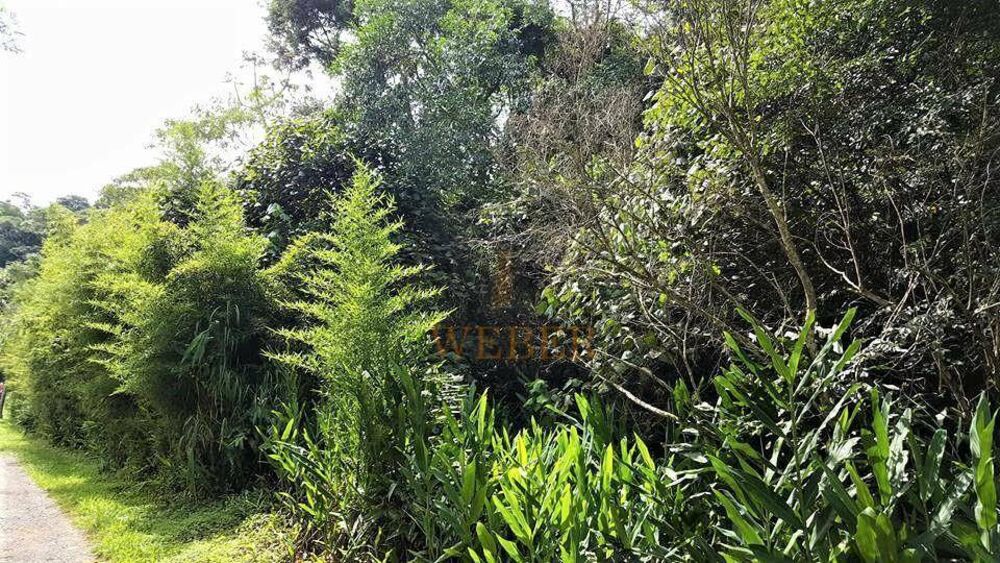 Terreno, 5 m² - Foto 5
